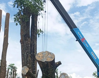 Sewa Sepeda Motor di Bali